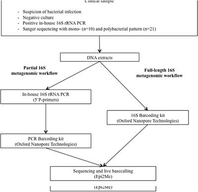 Improving the Diagnosis of Bacterial Infections: Evaluation of 16S rRNA Nanopore Metagenomics in Culture-Negative Samples